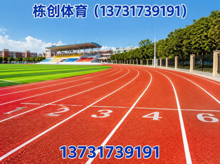 沧州渤海新区EPDM场地展示图